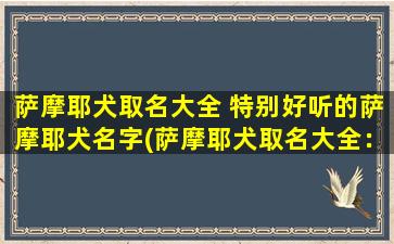 萨摩耶犬取名大全 特别好听的萨摩耶犬名字(萨摩耶犬取名大全：100个特别好听的名字推荐)